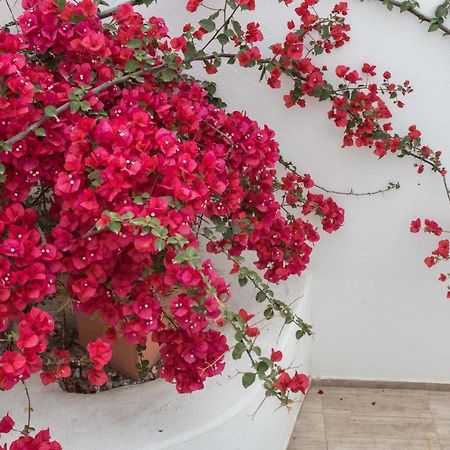 Depis Apartments & Suites Naxos City Exterior foto